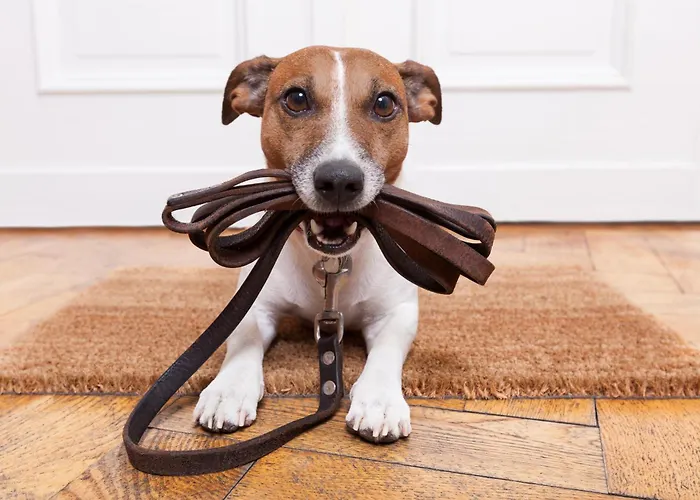 Apartment Basecamp Reiteralm *